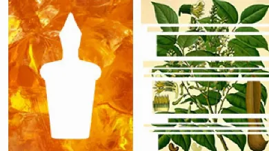 Ингредиент: ноты нежного бальзама толу