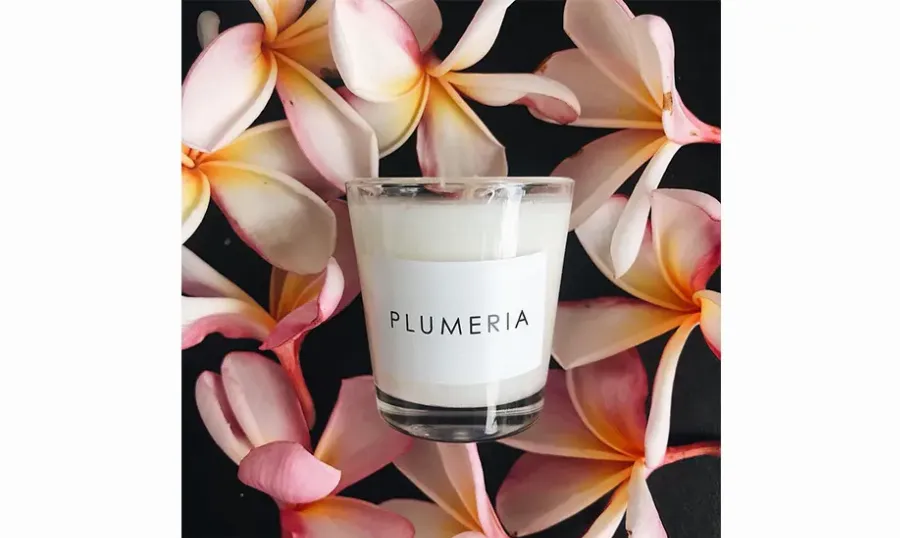 Arka, Candle Plumeria