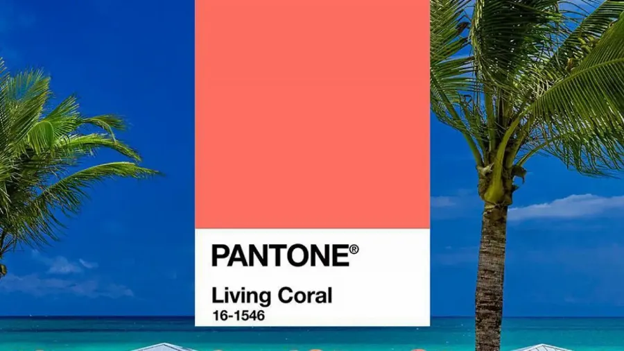 Pantone назвал самый модный цвет 2019 года, и он прекрасен