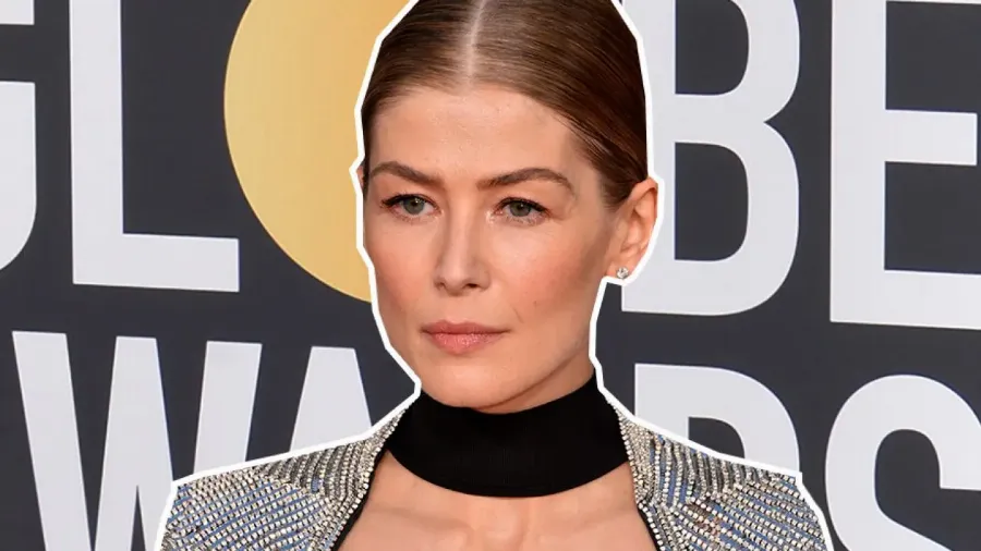 Как повторить самую стильную прическу премии Golden Globes