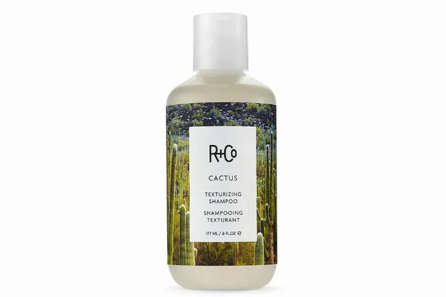 R + Co Cactus Texturizing Shampoo