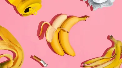 Самое грязное видео: Pornhub спасает природу с помощью порно