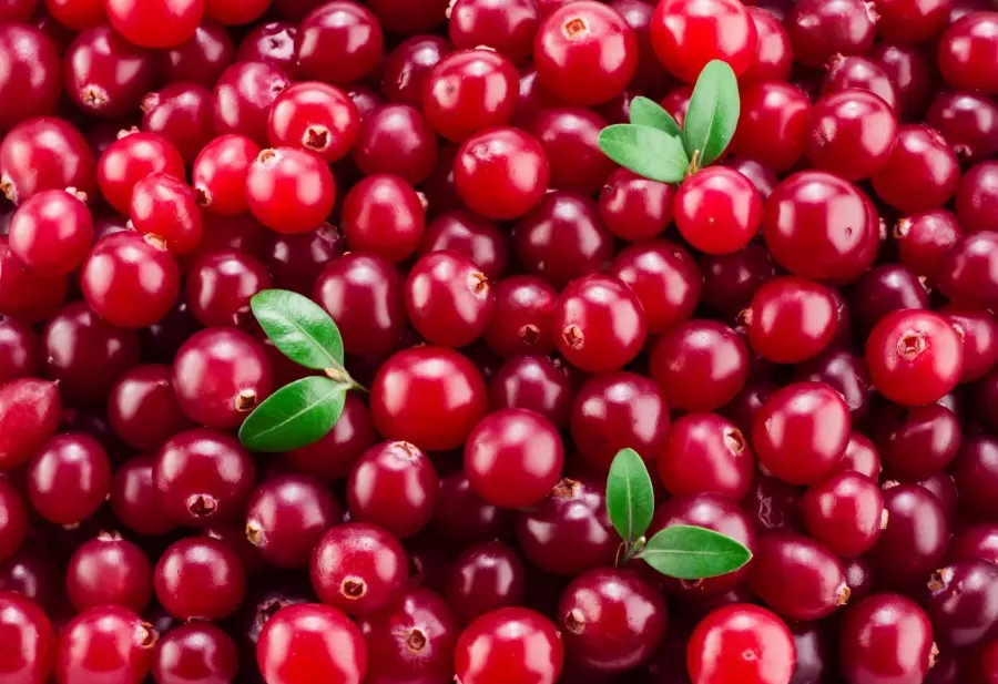 корисні продукти, які позбавлять набряків