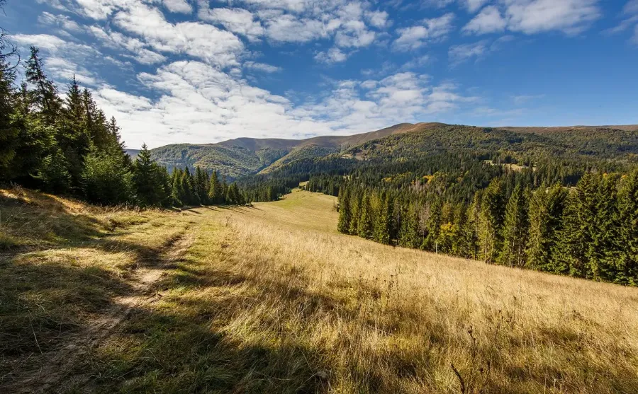 Полонина Боржава