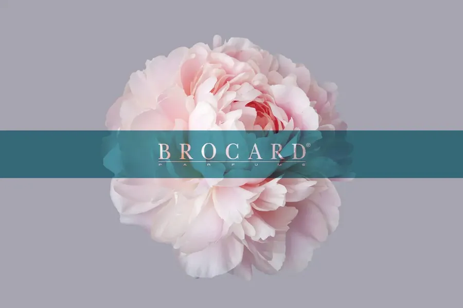 BROCARD