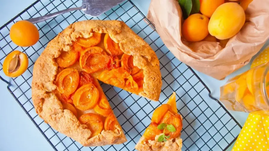 Рецепты пирогов с абрикосами: выбираем самый вкусный