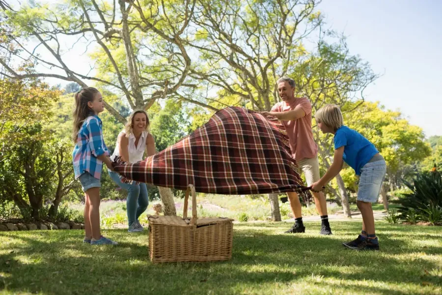 От посуды до гамака: полезные вещи для пикника