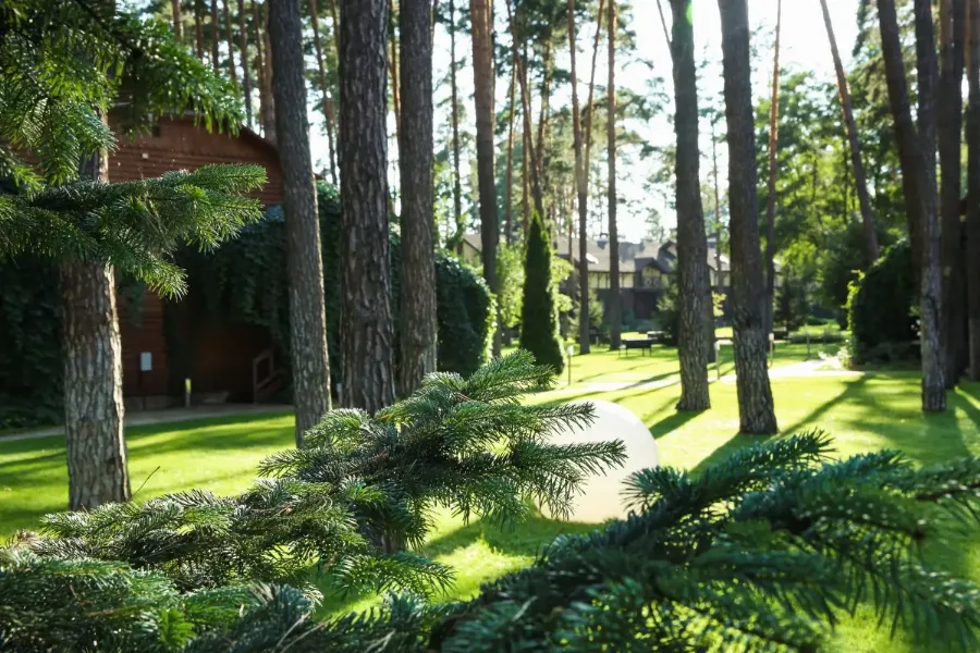 Grand Admiral Resort & SPA запустил новое направление – Medical SPA