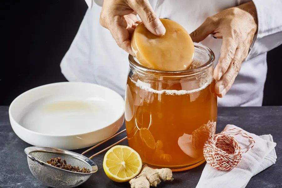 Чайный гриб комбуча