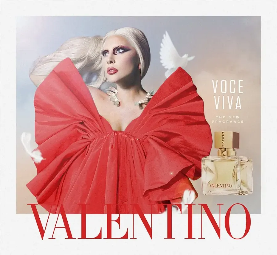 Леді Гага і Valentino