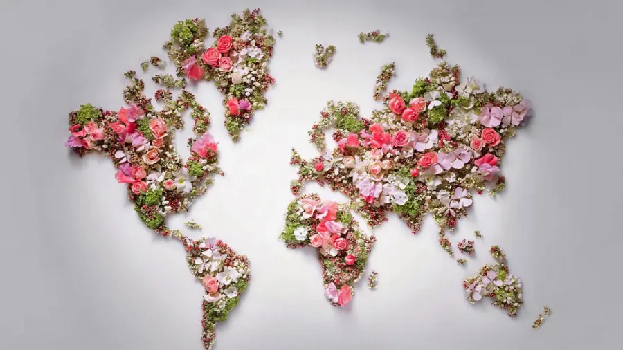 Кампания Estée Lauder Companies по борьбе с раком груди 2020