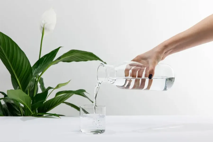 Что делать, когда сохнут губы: 5 проверенных способов