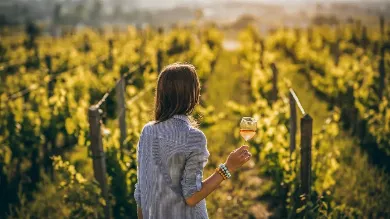 Винна дипломатія: в Україні вперше пройде Wines of Portugal Grand Tasting 2021