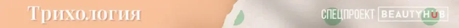 post_content