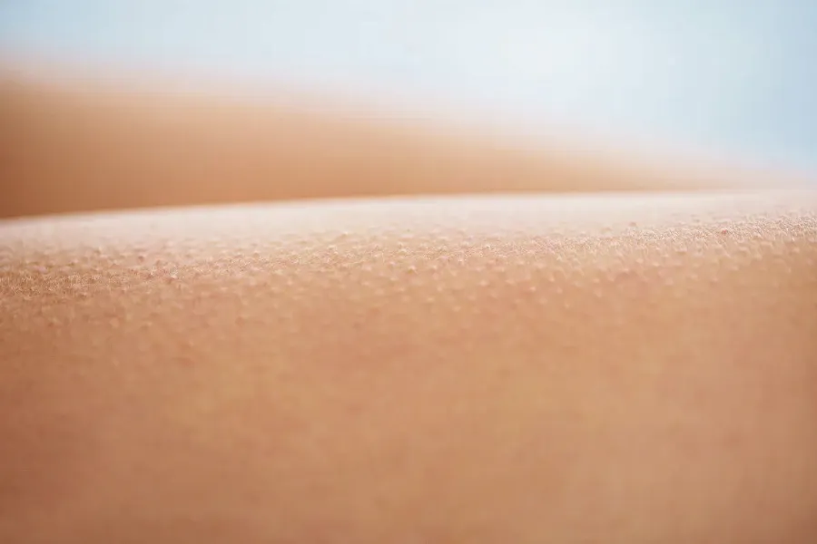post_content