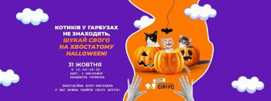  «Хвостатый Хэллоуин»