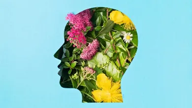 Как поддержать иммунитет во время войны: действенные способы
