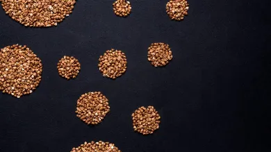 Как вкусно сварить гречку: способы приготовления, интересные рецепты