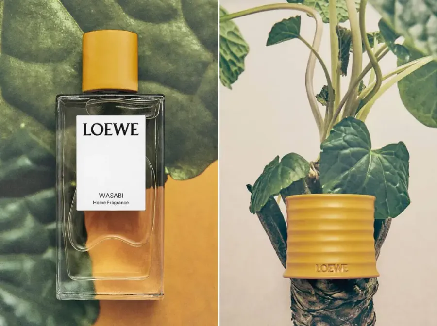 Loewe Home Scents Wasabi 