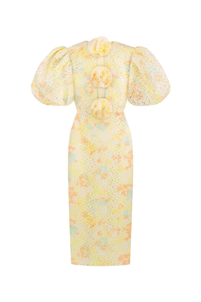 Marianna Senchina midi dress