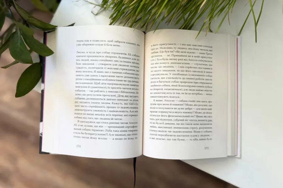 книга «Друг» Нуньєс Сіґрід 