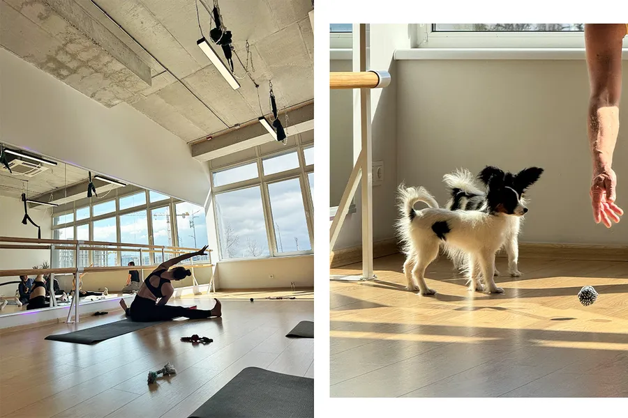 puppy yoga