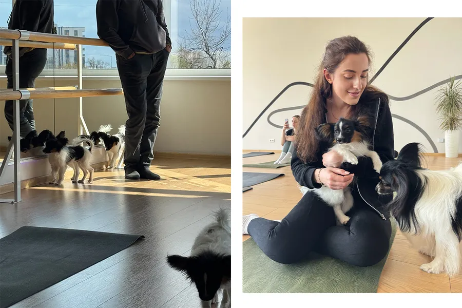puppy yoga