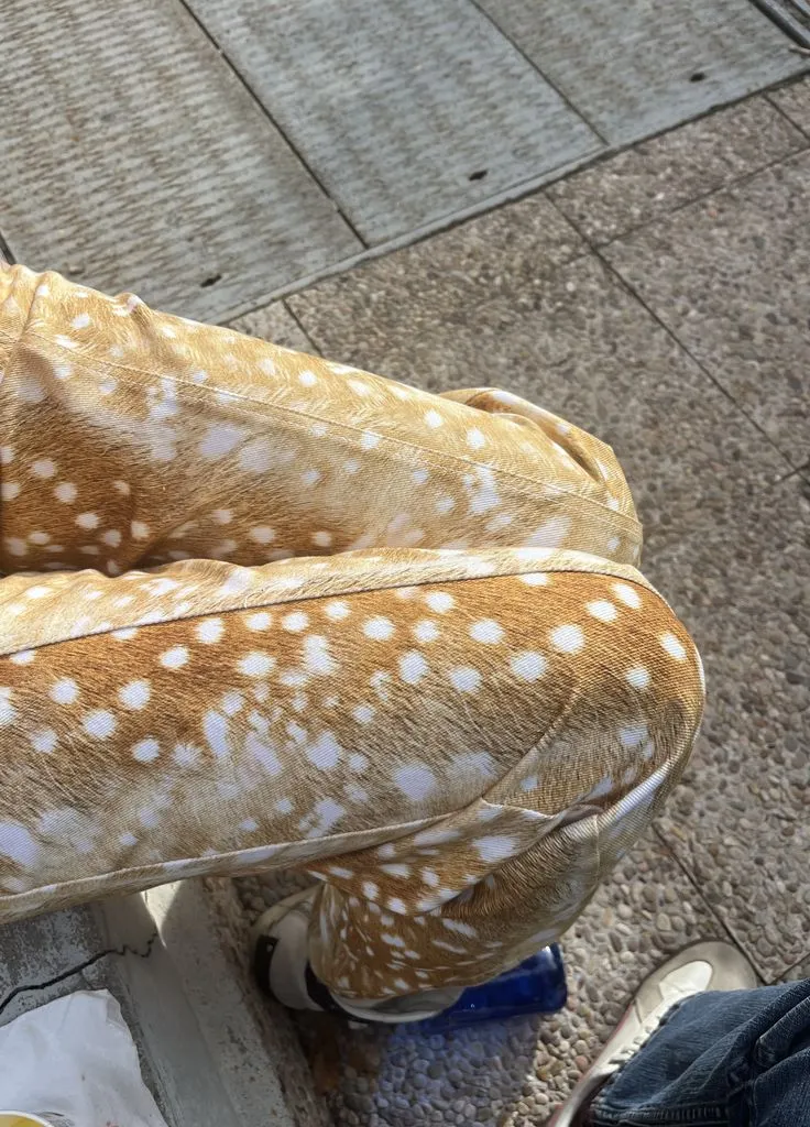 Bambi print