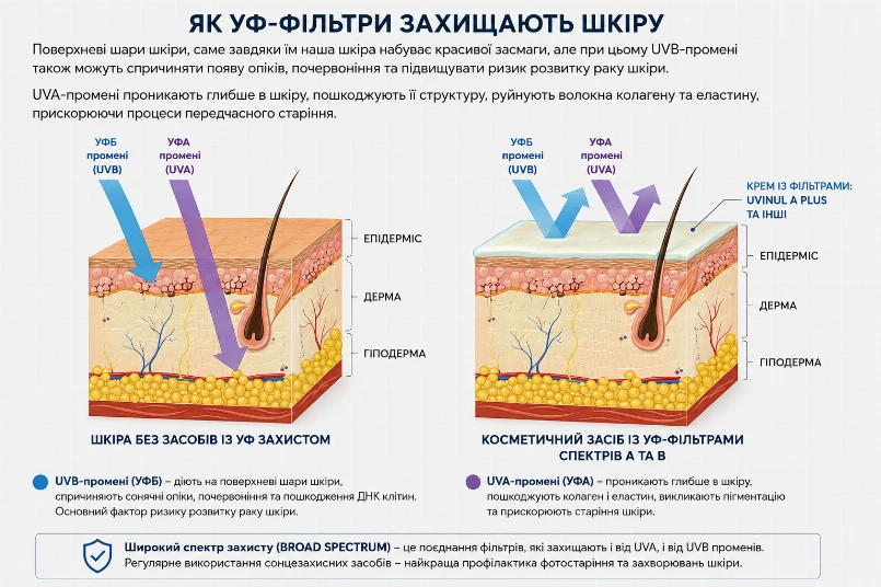 як УФ-фільтри захищають шкіру