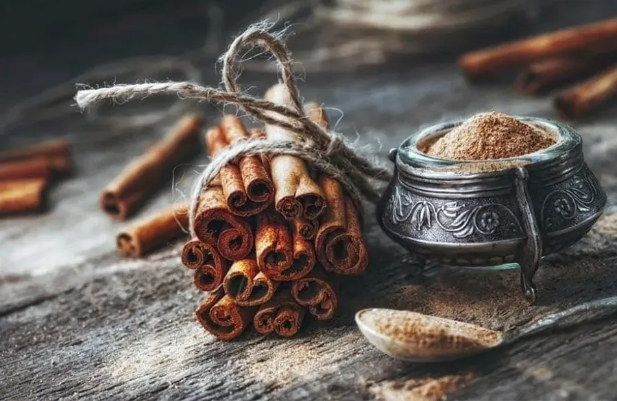 Корица