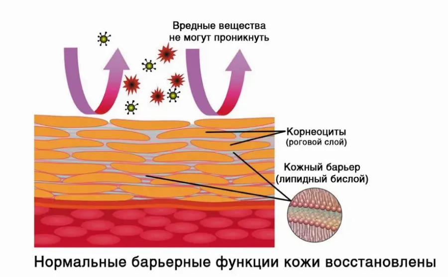 Корнеотерапия